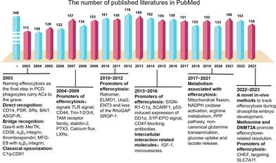 Efferocytosis by macrophages in physiological and pathological conditions: regulatory pathways and molecular mechanisms